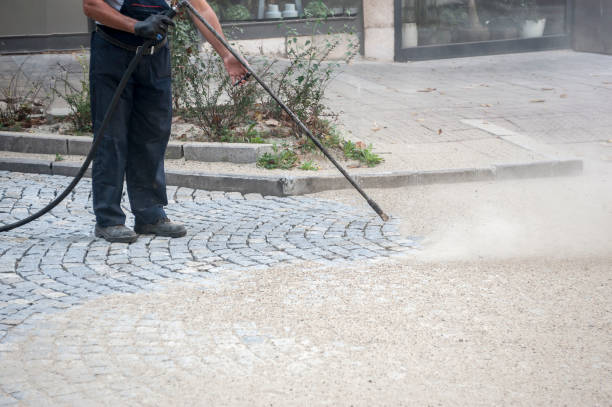 Best Pre-Holiday Cleaning  in River Grove, IL
