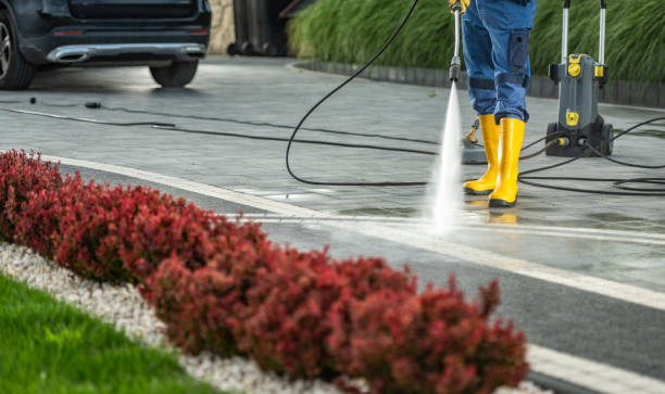 Trusted River Grove, IL Pressure Washing Services Experts